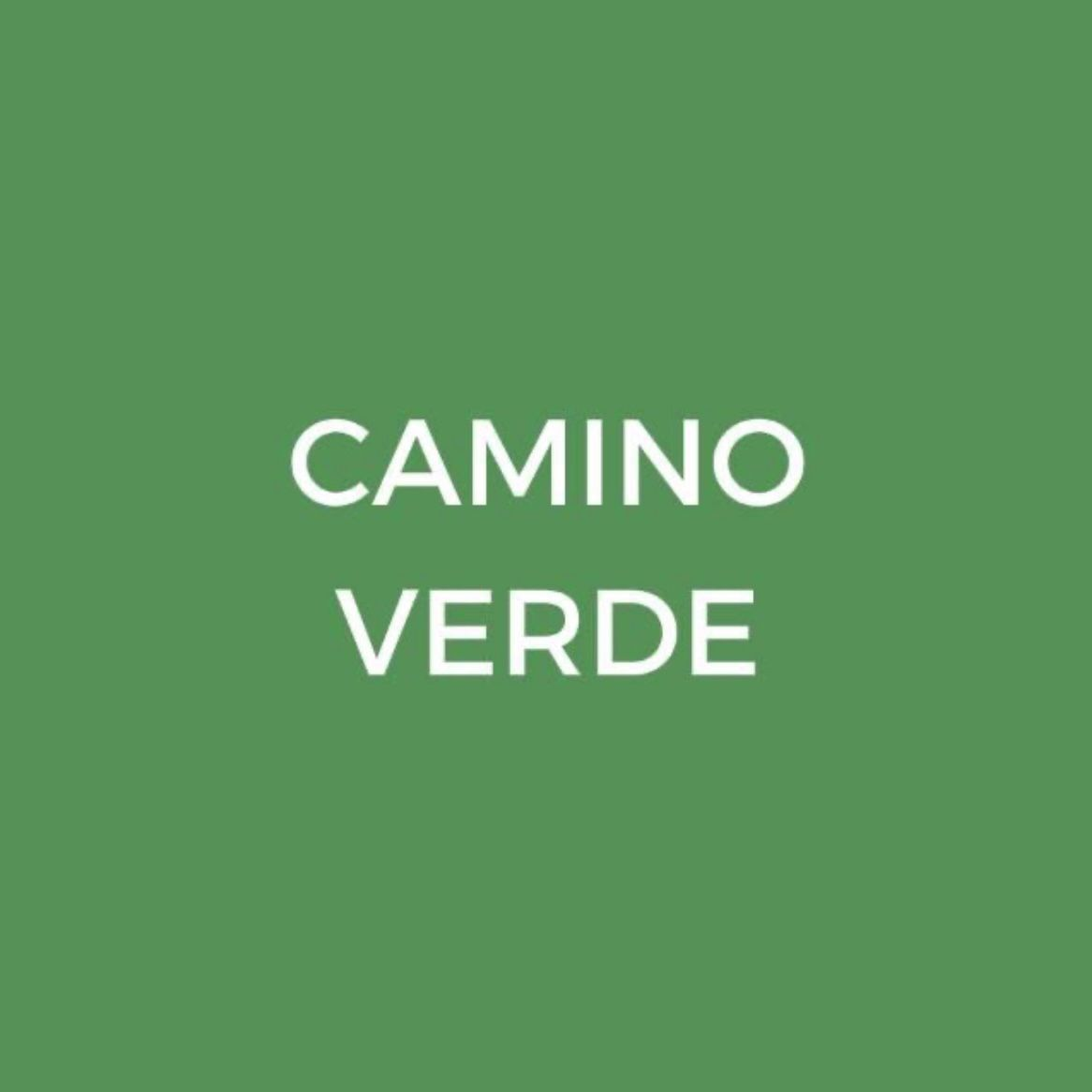 Mesa servida con deliciosos platos veganos de Camino Verde